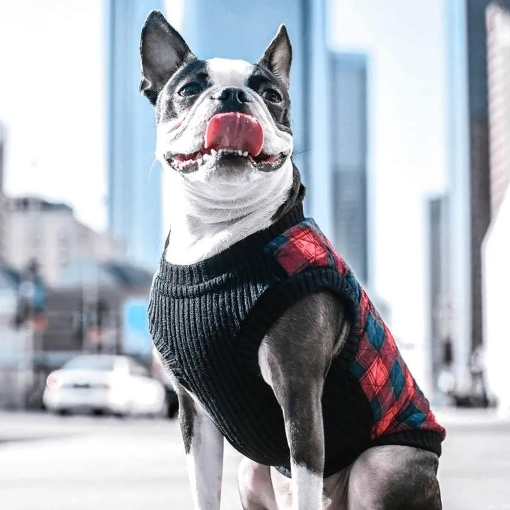 Gooby Fashion Vest Check Dog Jacket - Green Check, Medium - Warm Zip Up Bomber Vest Dual D Ring Leash - Winter Water Resistant Small Dog Sweater