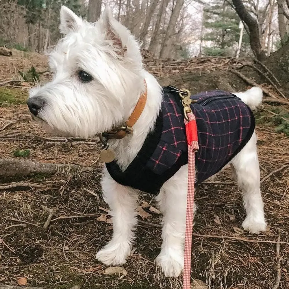 Gooby Fashion Vest Check Dog Jacket - Navy Check, X-Large - Warm Zip Up Dog Bomber Vest Dual D Ring Leash - Winter Water Resistant Small Dog Sweater - Dog Clothes for Small Dogs Boy or Medium Dogs