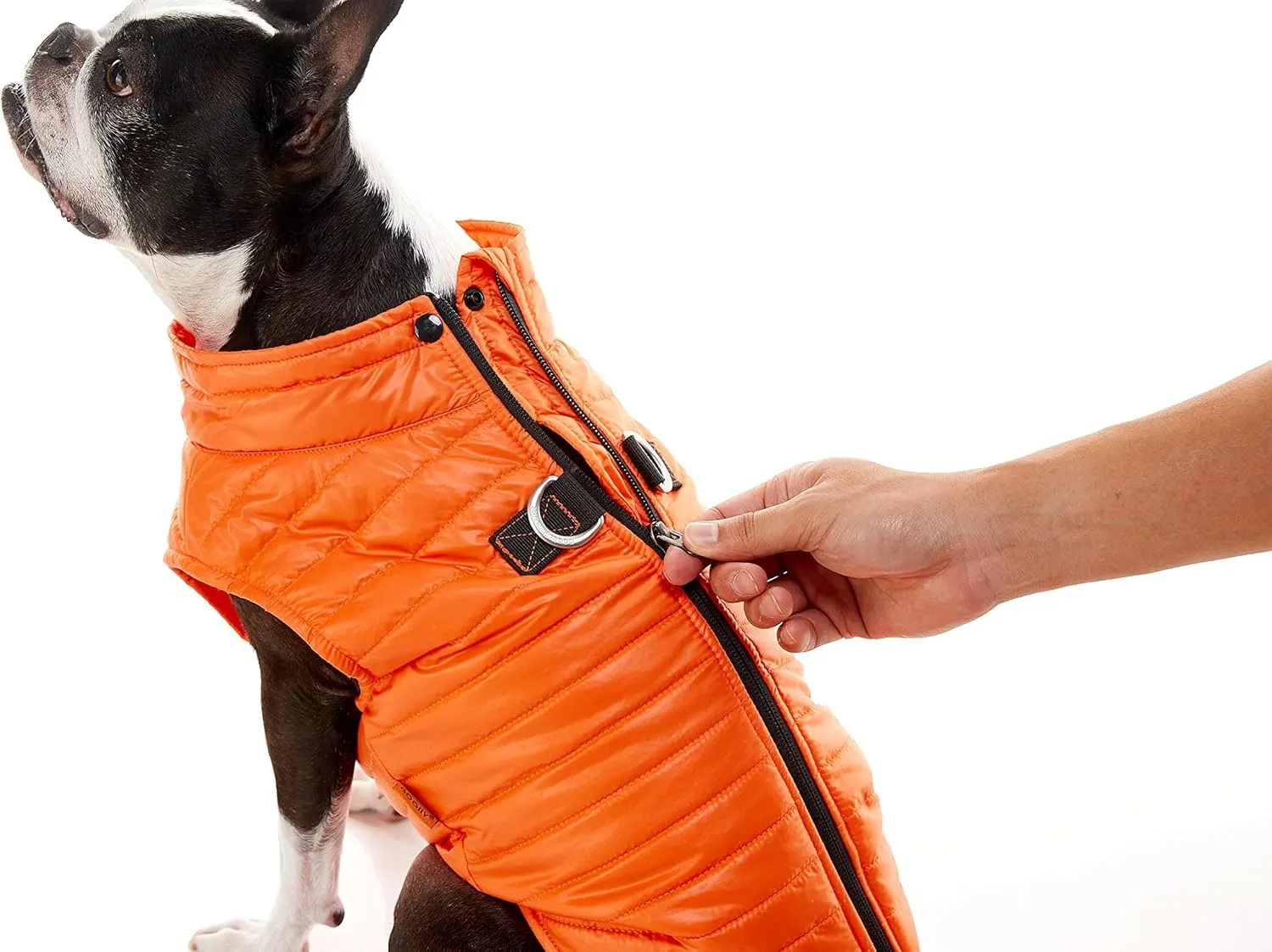 Gooby Puffer Vest Dog Jacket - Purple, Large - Ultra Thin Zip Up Wind Breaker with Dual D Ring Leash - Water Resistant Small Dog Sweater Coat - Dog Clothes for Small Dogs Boy or Medium Dogs, (20.75")
