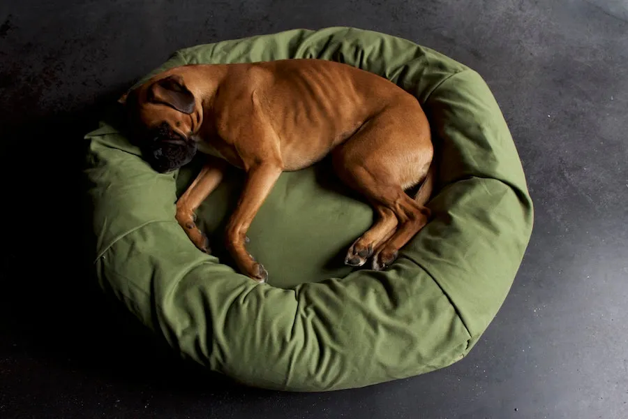 Green dog bed covers