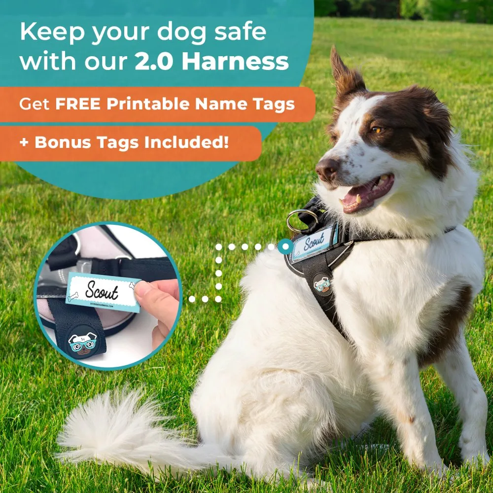 Green Plaid Joyride Premium Advanced Dog Harness 2.0