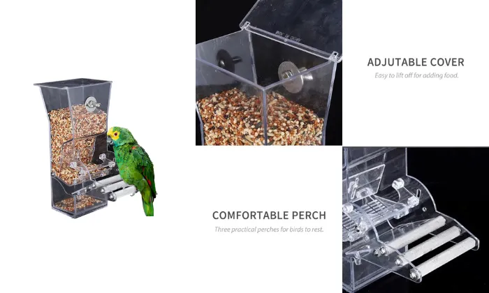 Hanging Bird Feeder