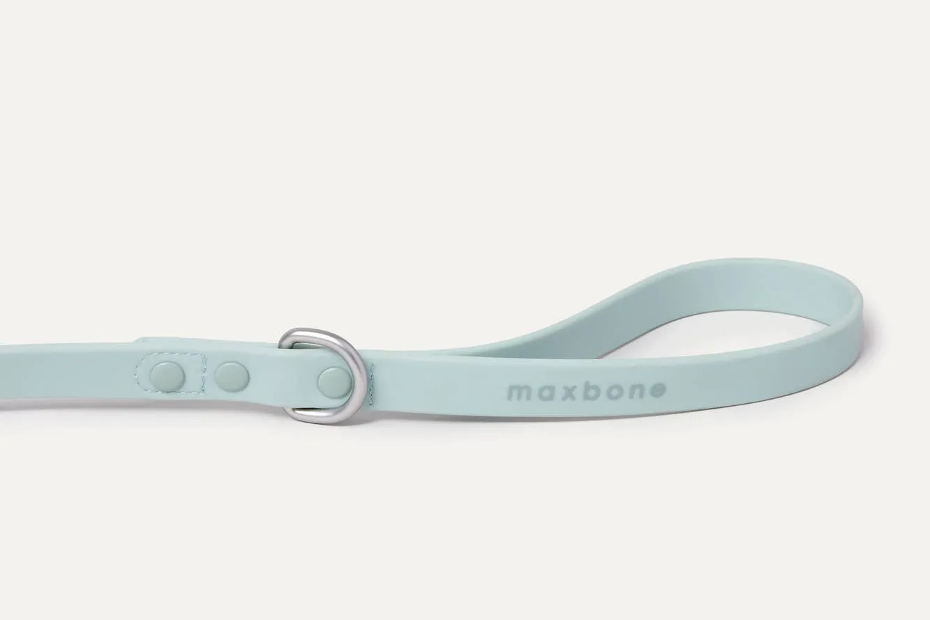hazel dog leash - 3 colors