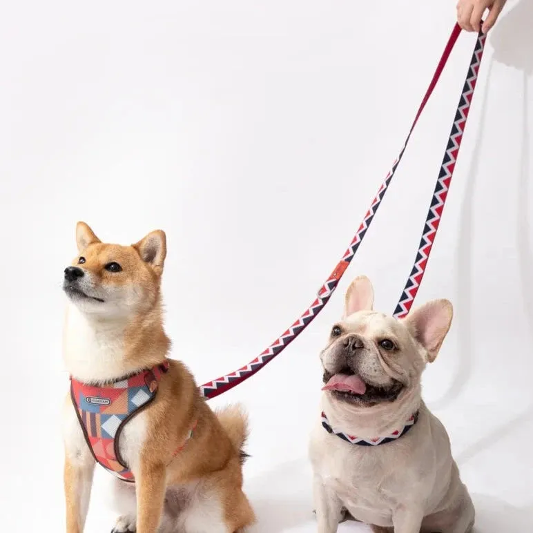 HiDream® | Rainbow Collection Multi-Style Hands-Free Dog Leash