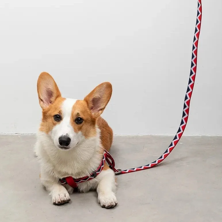 HiDream® | Rainbow Collection Multi-Style Hands-Free Dog Leash