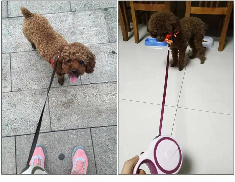High-Grade Retractable Dog Leash