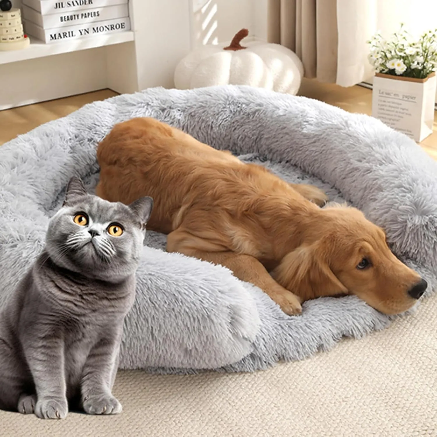 huraty Plush Dog Bed for Small Dogs, Egg Crate Memory Foam Pet Bed Washable Cat Bed, Round Dog Donut Bed Waterproof Lining Removable Cover (Grey, S)