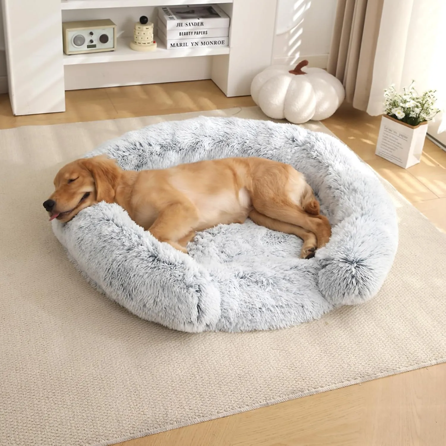huraty Plush Dog Bed for Small Dogs, Egg Crate Memory Foam Pet Bed Washable Cat Bed, Round Dog Donut Bed Waterproof Lining Removable Cover (Grey, S)