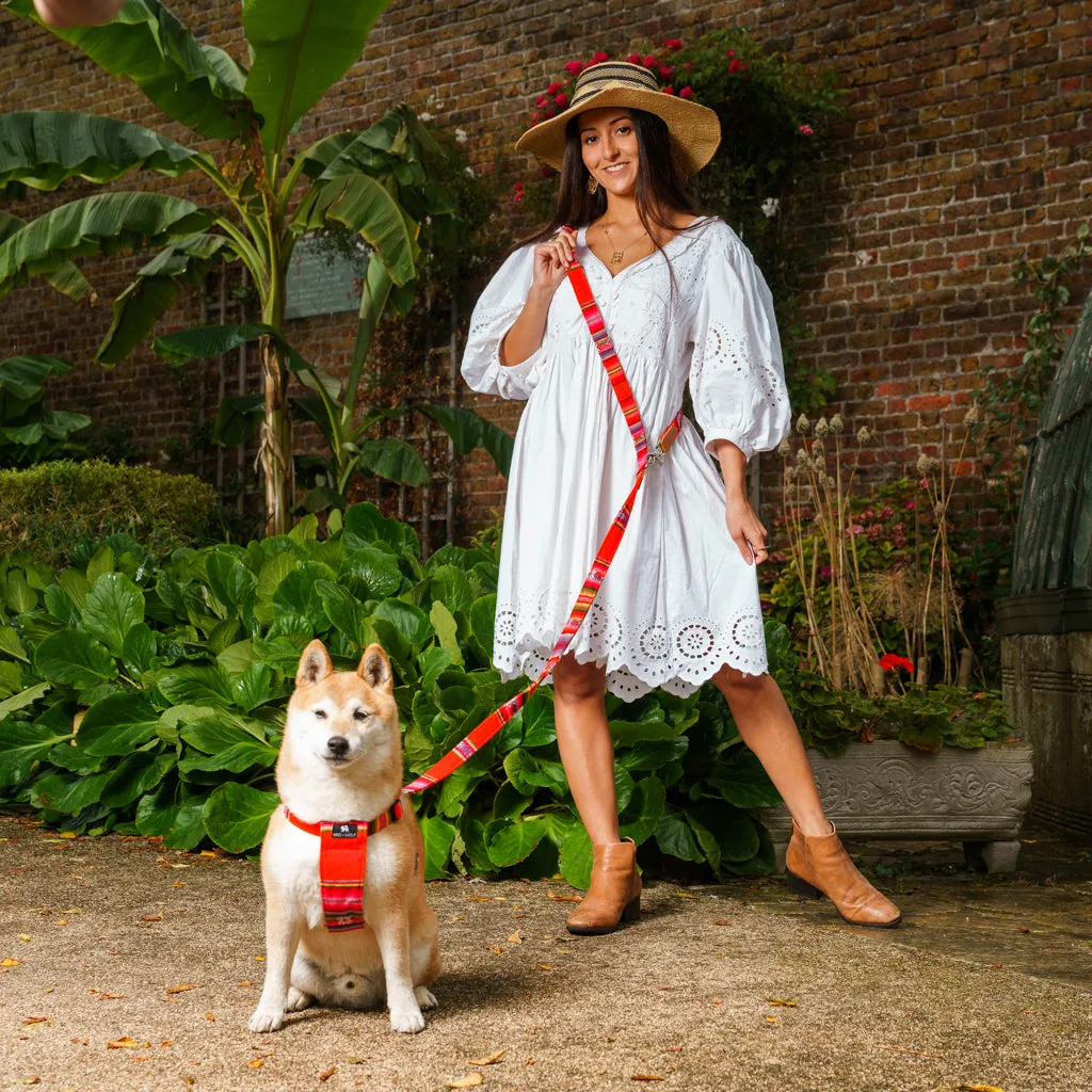 Inca Orange Dog Harness