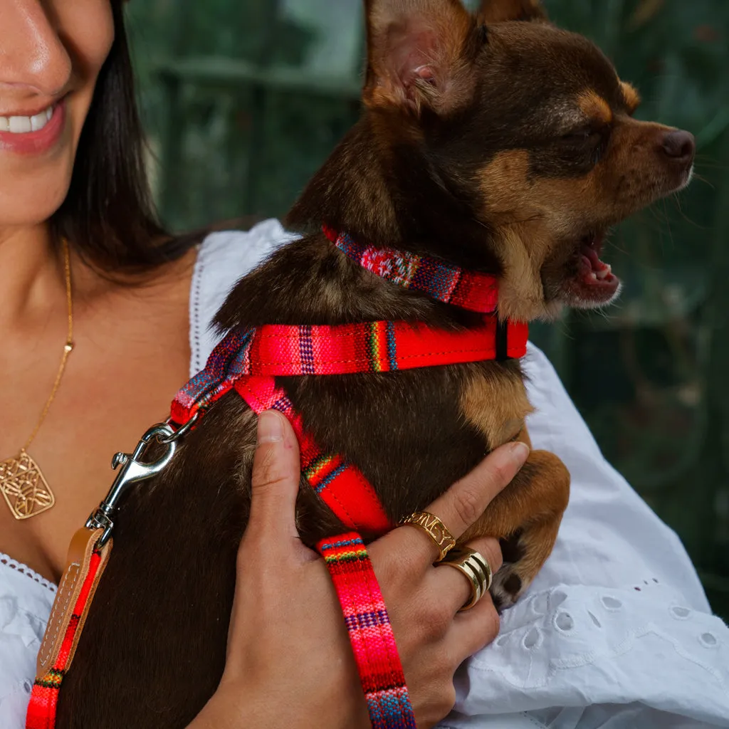 Inca Orange Dog Harness