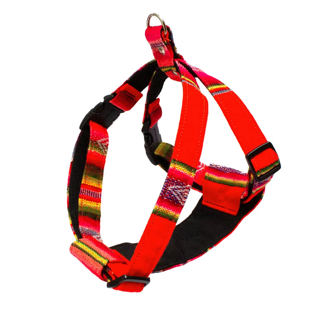 Inca Orange Dog Harness