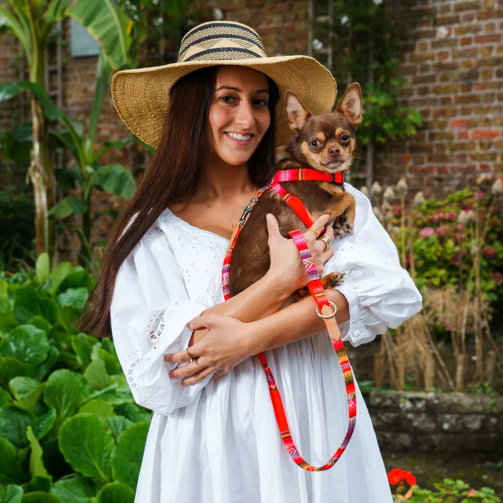 Inca Orange Dog Harness