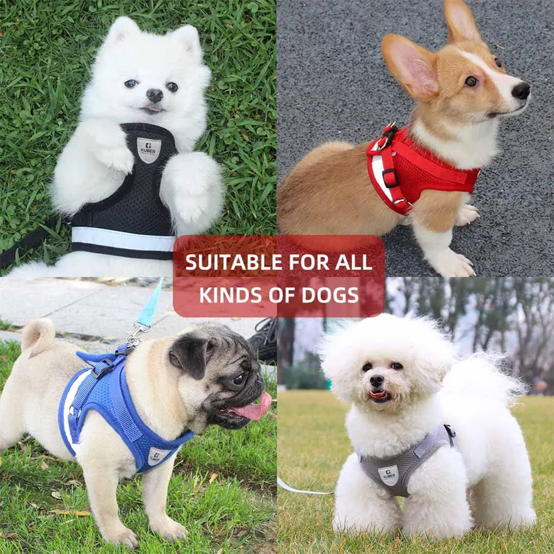 Kuber Industries Reflective Dog Harness with Adjustable Leash|Breathable Polyester Mesh Fabric |Large Size|HT-844|Comfortable No-Pull Grip|Quick Release Buckles|Easy On-Off Harness|Black (Pack of 5)