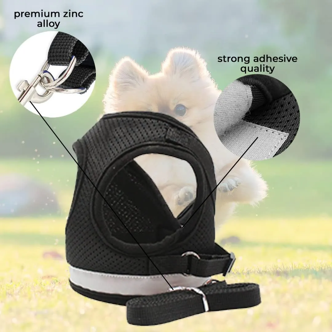 Kuber Industries Reflective Dog Harness with Adjustable Leash|Breathable Polyester Mesh Fabric |Small Size|HT-844|Comfortable No-Pull Grip|Quick Release Buckles|Easy On-Off Harness|Black (Pack of 6)