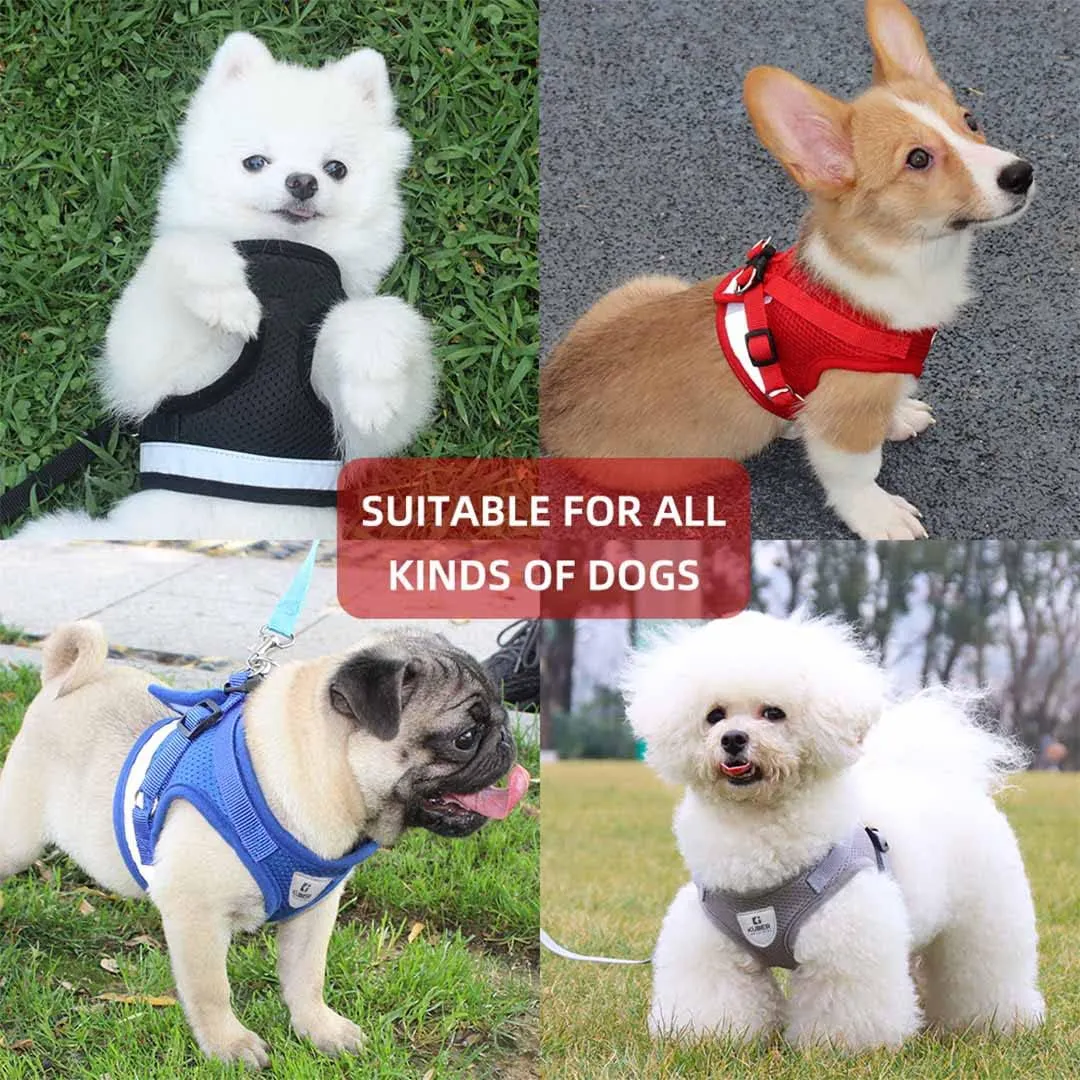 Kuber Industries Reflective Dog Harness with Adjustable Leash|Breathable Polyester Mesh Fabric |Small Size|HT-844|Comfortable No-Pull Grip|Quick Release Buckles|Easy On-Off Harness|Black (Pack of 6)