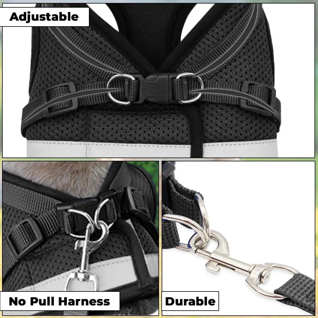 Kuber Industries Reflective Dog Harness with Adjustable Leash|Breathable Polyester Mesh Fabric |Small Size|HT-844|Comfortable No-Pull Grip|Quick Release Buckles|Easy On-Off Harness|Black (Pack of 6)