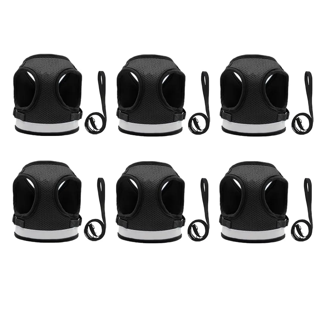 Kuber Industries Reflective Dog Harness with Adjustable Leash|Breathable Polyester Mesh Fabric |Small Size|HT-844|Comfortable No-Pull Grip|Quick Release Buckles|Easy On-Off Harness|Black (Pack of 6)