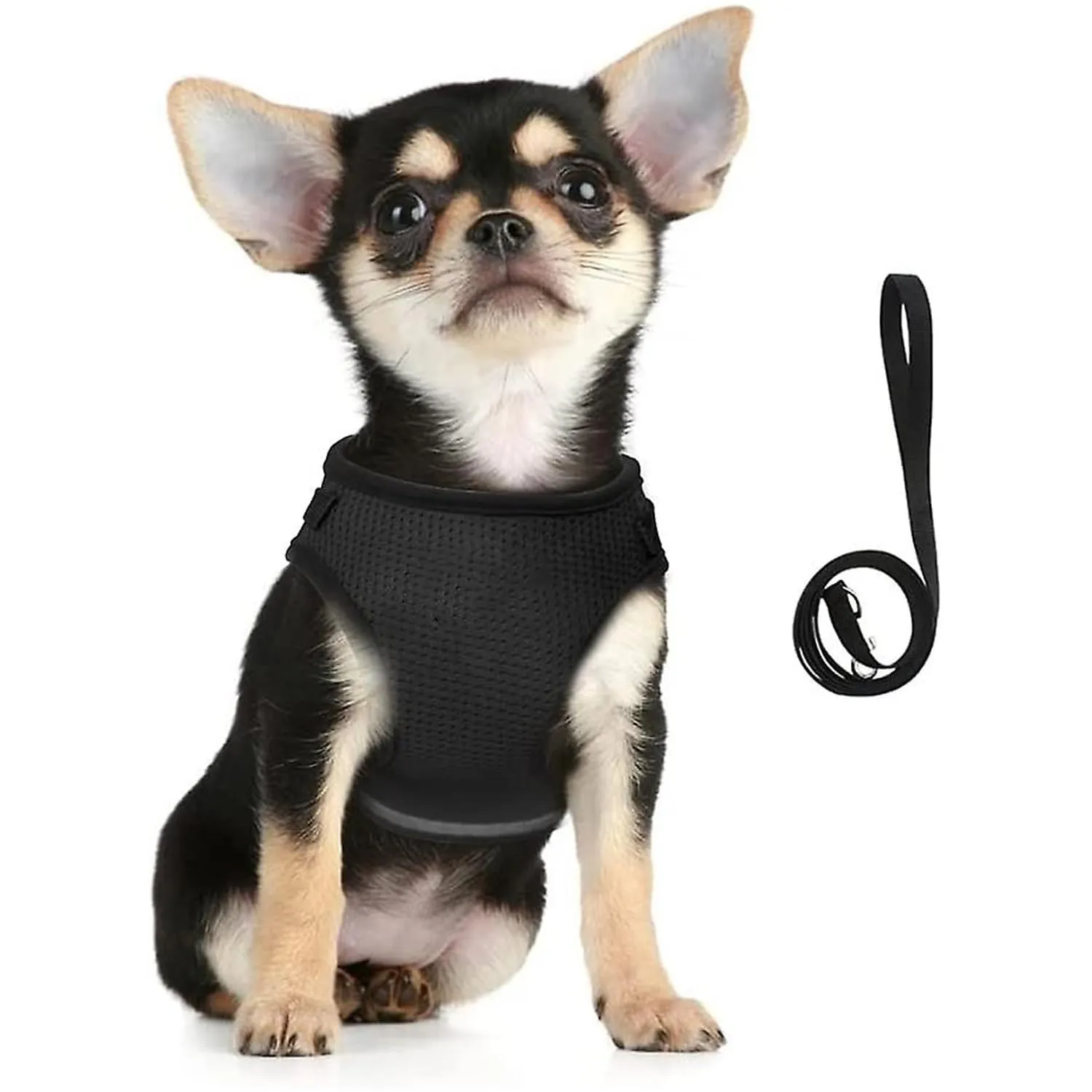 Kuber Industries Reflective Dog Harness with Adjustable Leash|Breathable Polyester Mesh Fabric |Small Size|HT-844|Comfortable No-Pull Grip|Quick Release Buckles|Easy On-Off Harness|Black (Pack of 6)