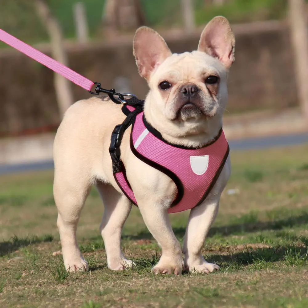 Kuber Industries Reflective Dog Harness with Adjustable Leash|Breathable Polyester Mesh Fabric with Top Carry Handle|Large Size|HAT-818|Comfortable No-Pull Grip|Quick Release Buckles|Pink (Pack of 3)