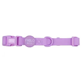 Lavender Waterproof Collar