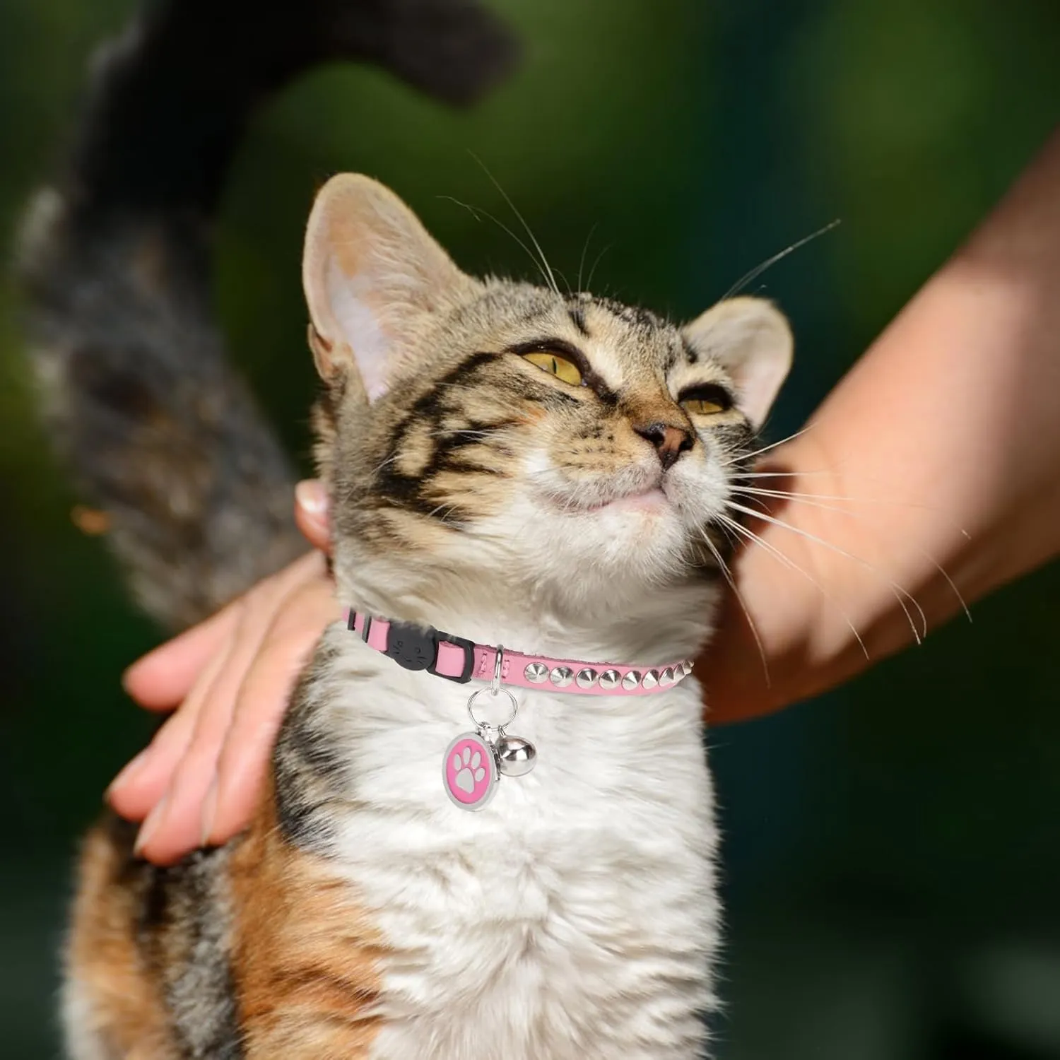 Leather Personalized Breakaway Cat Collar with Studded Bell and Safety Quick Release Buckle - Rivets Studded ID DIY Collars for Boy Girl Cats Kittens, 9" - 11.5" Pink