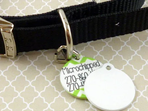 Lime Chevron Pet tag