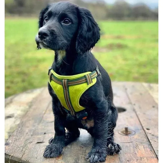 LONG PAWS Green Comfort Harness M