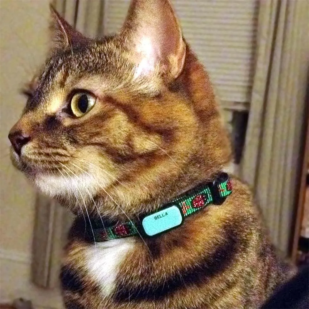 LuckyPet Pet ID Tag: Collar Tag - Attaches Flat to Any Collar - Perfect for Dogs or Cats - Custom Engraved - Durable and Silent! Large-Mint-Rectangle