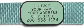 LuckyPet Pet ID Tag: Collar Tag - Attaches Flat to Any Collar - Perfect for Dogs or Cats - Custom Engraved - Durable and Silent! Large-Mint-Rectangle