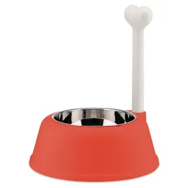 Lupita Dog Bowl
