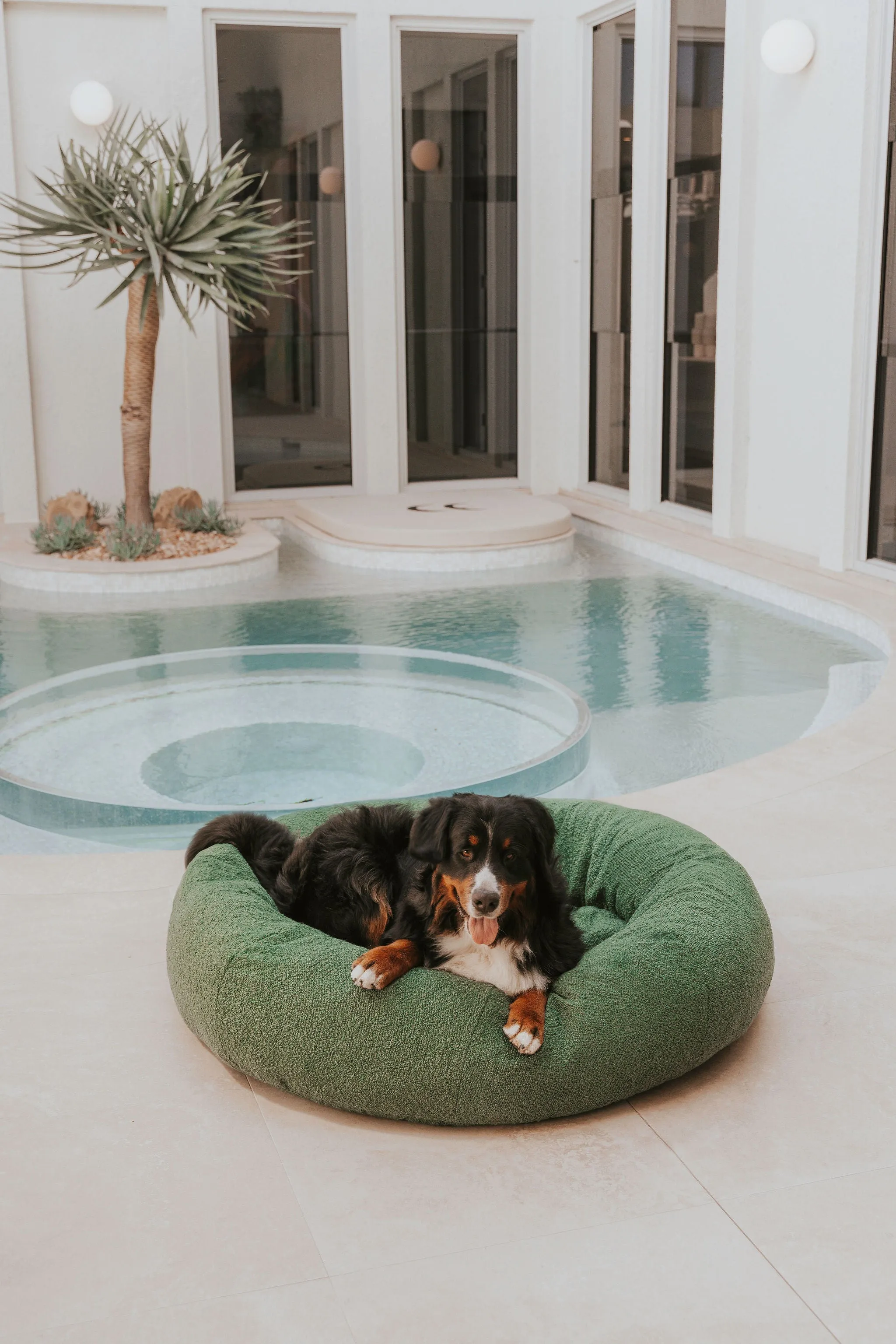 Luxury Boucle Dog Bed Bundled