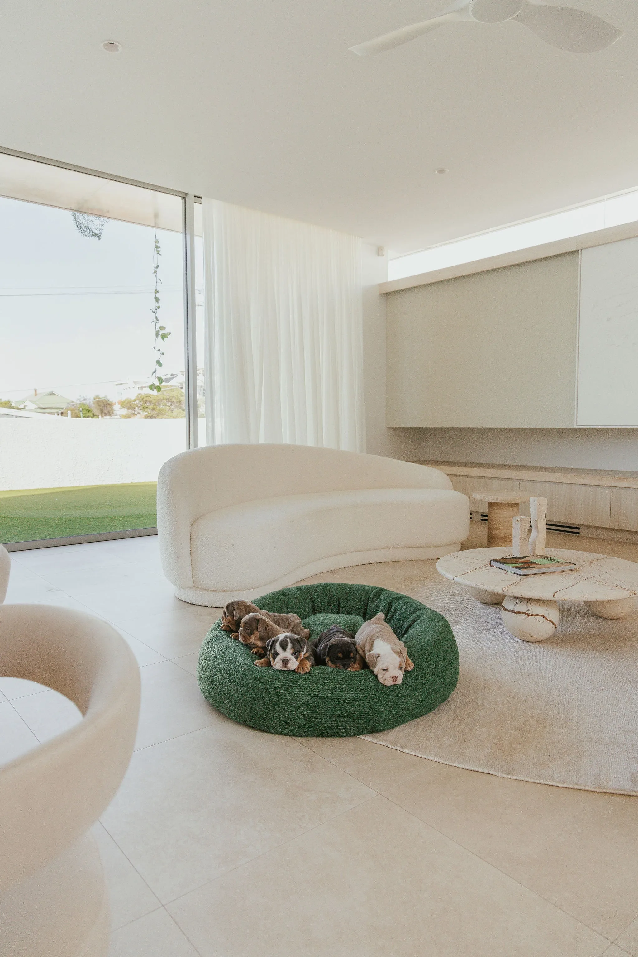 Luxury Boucle Dog Bed Bundled