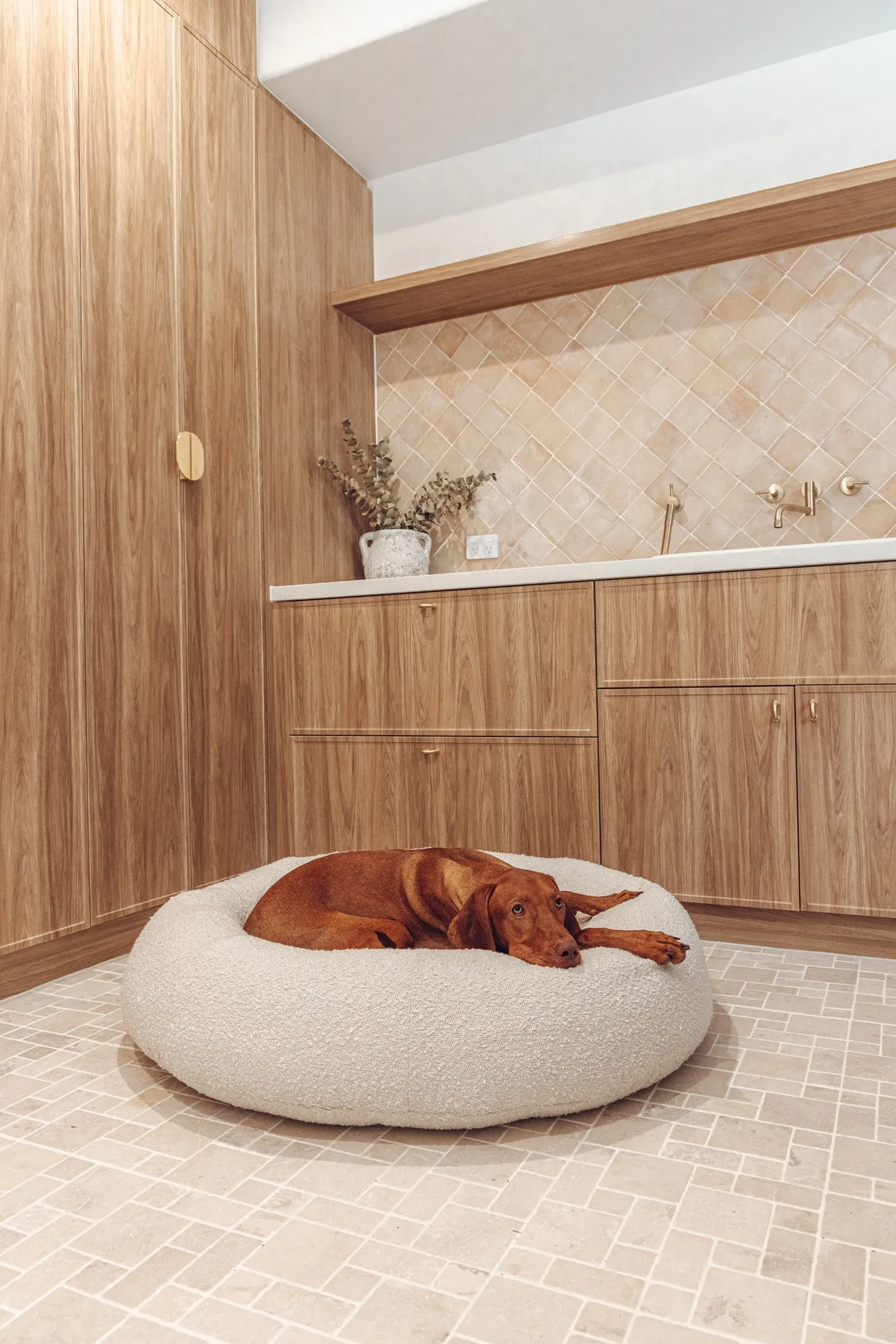 Luxury Boucle Dog Bed Bundled