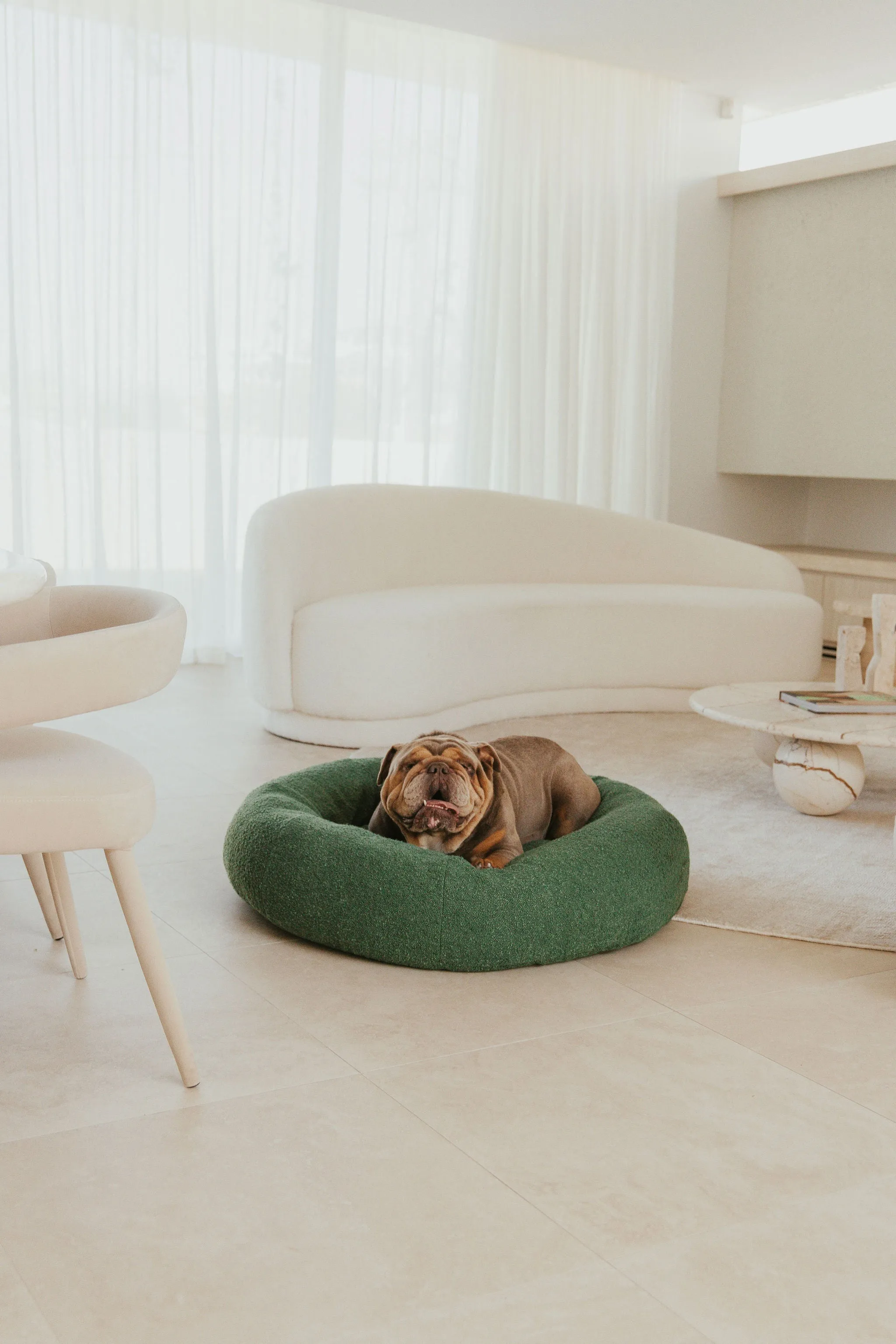 Luxury Boucle Dog Bed Bundled
