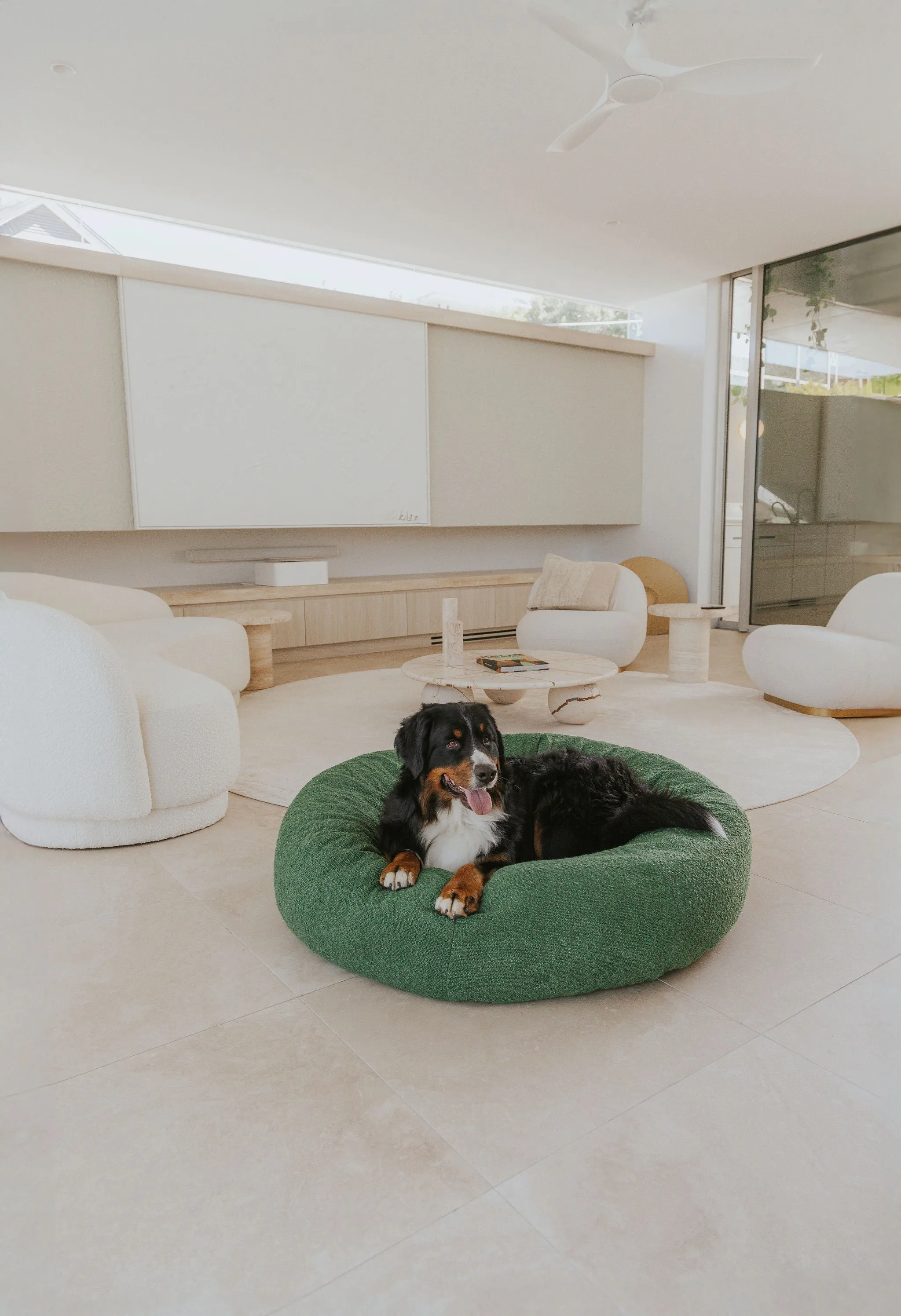 Luxury Boucle Dog Bed Bundled