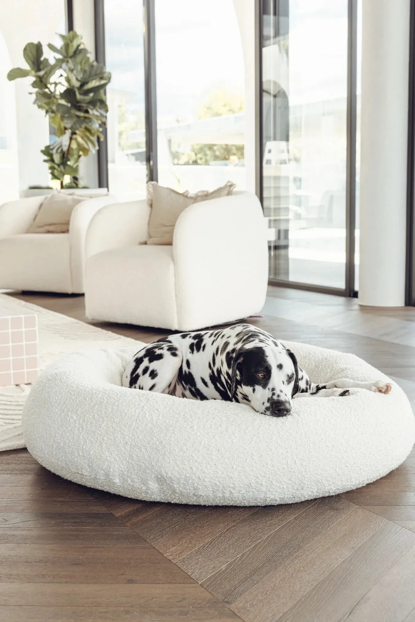 Luxury Boucle Dog Bed Bundled