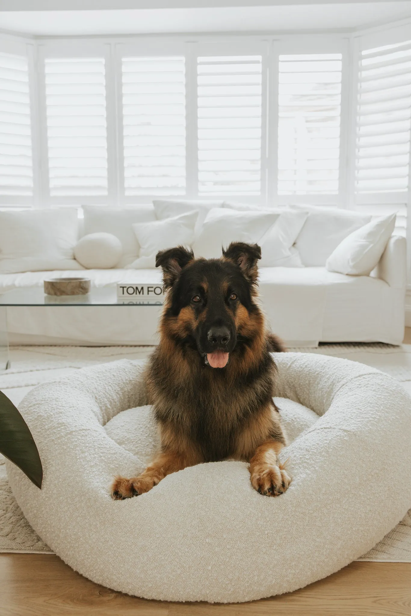 Luxury Boucle Dog Bed Bundled