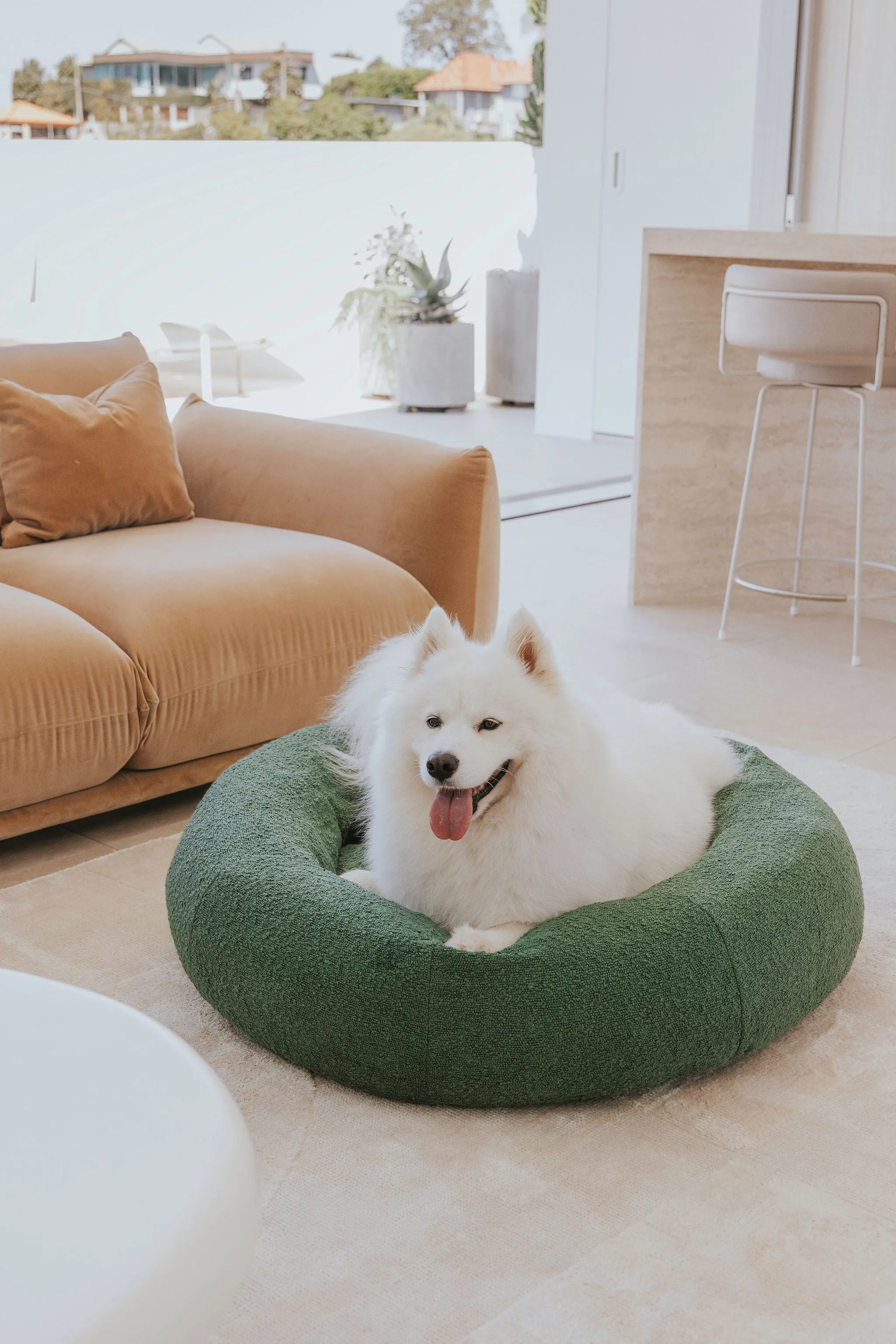 Luxury Boucle Dog Bed Bundled