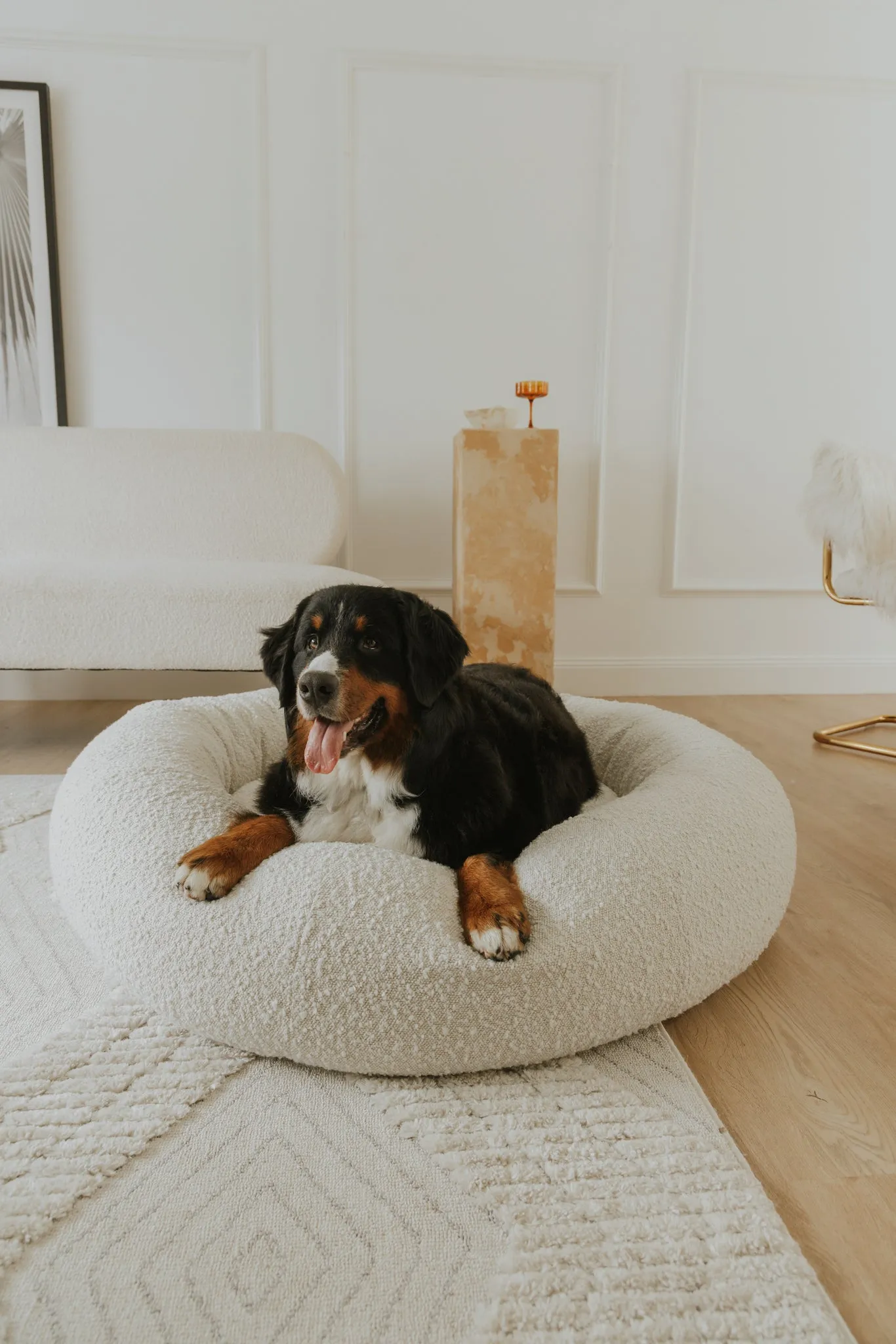 Luxury Boucle Dog Bed Bundled