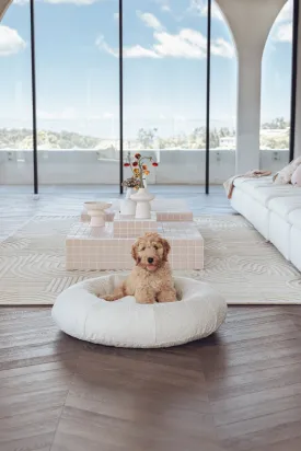 Luxury Boucle Dog Bed Bundled