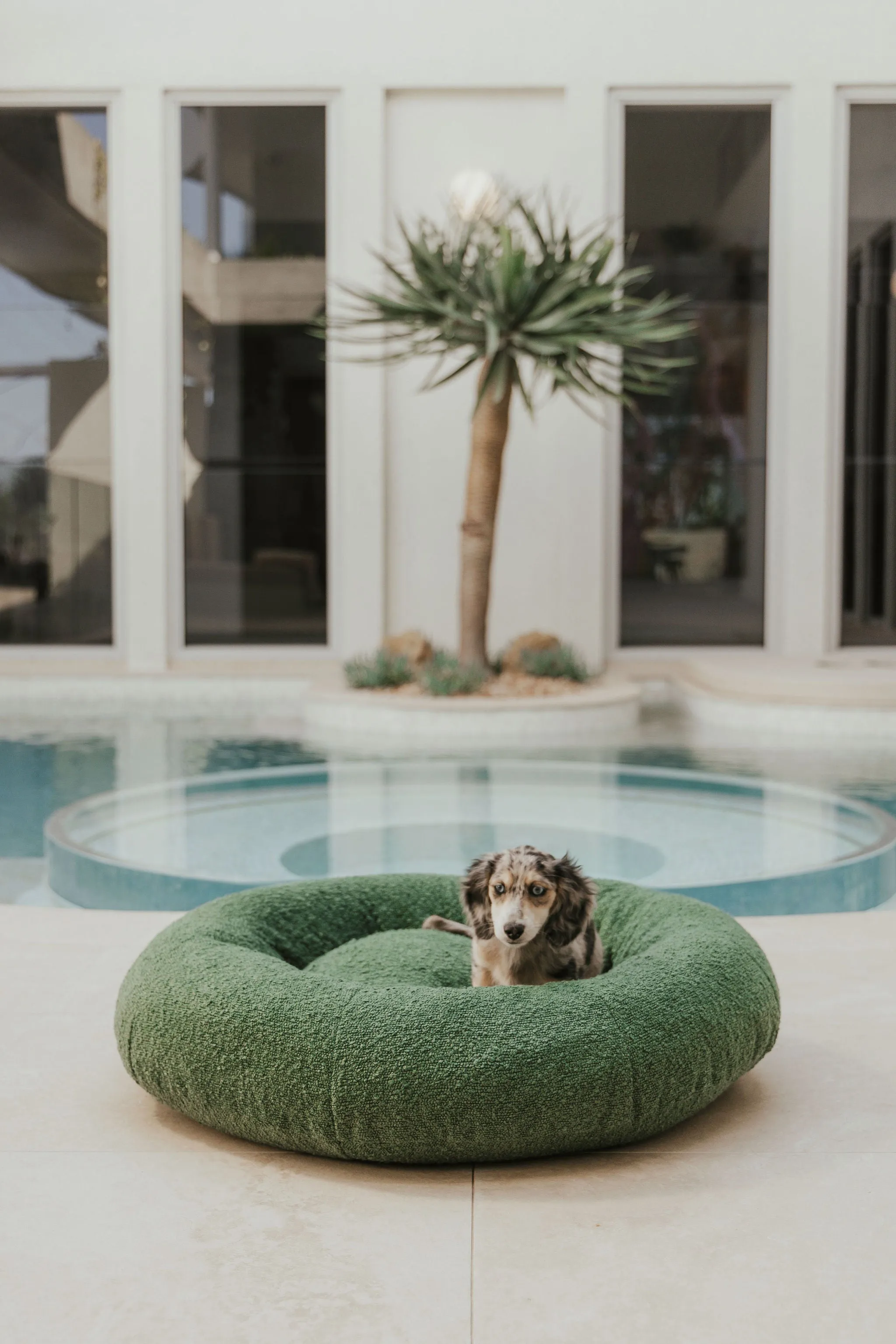 Luxury Boucle Dog Bed Bundled