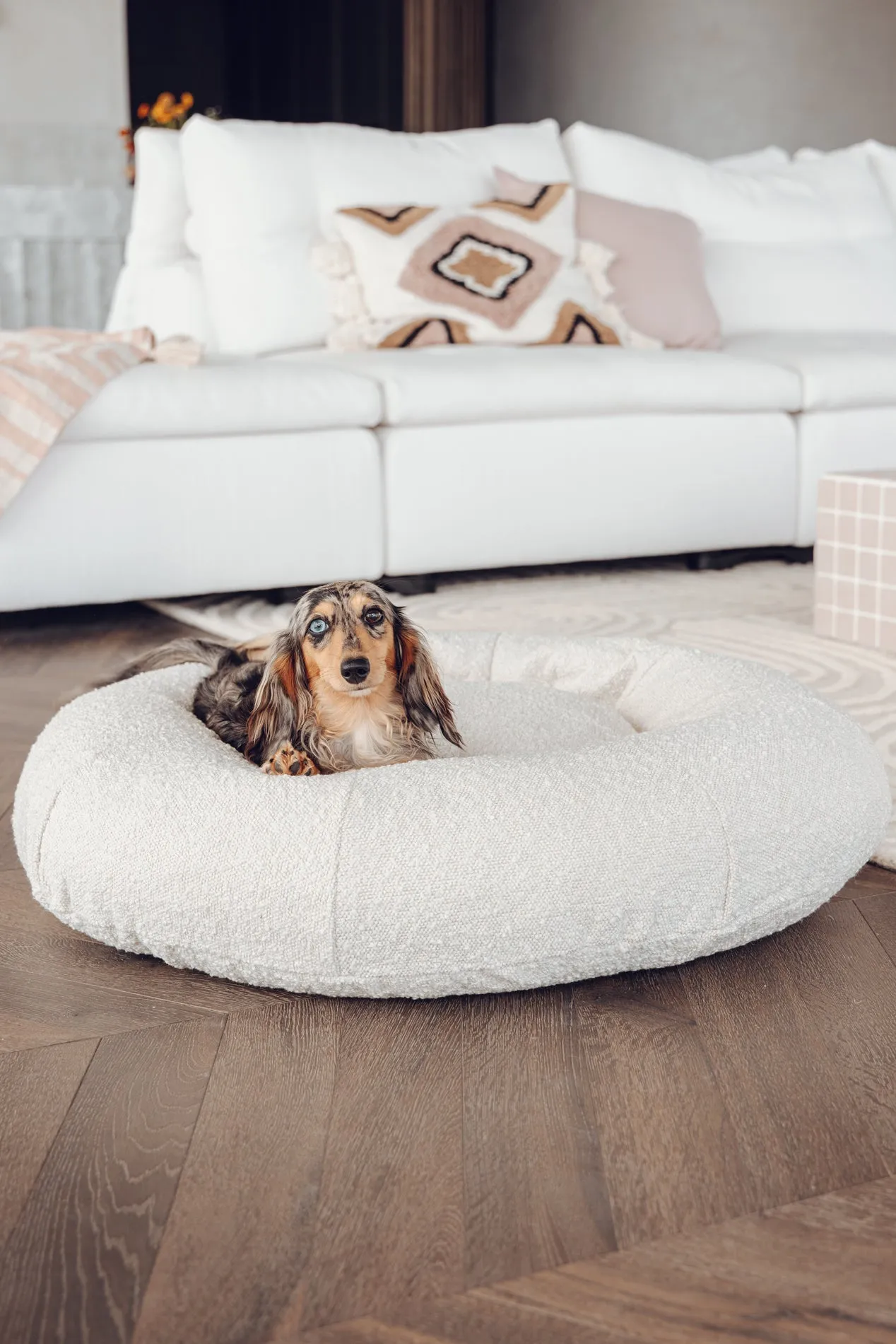 Luxury Boucle Dog Bed Bundled