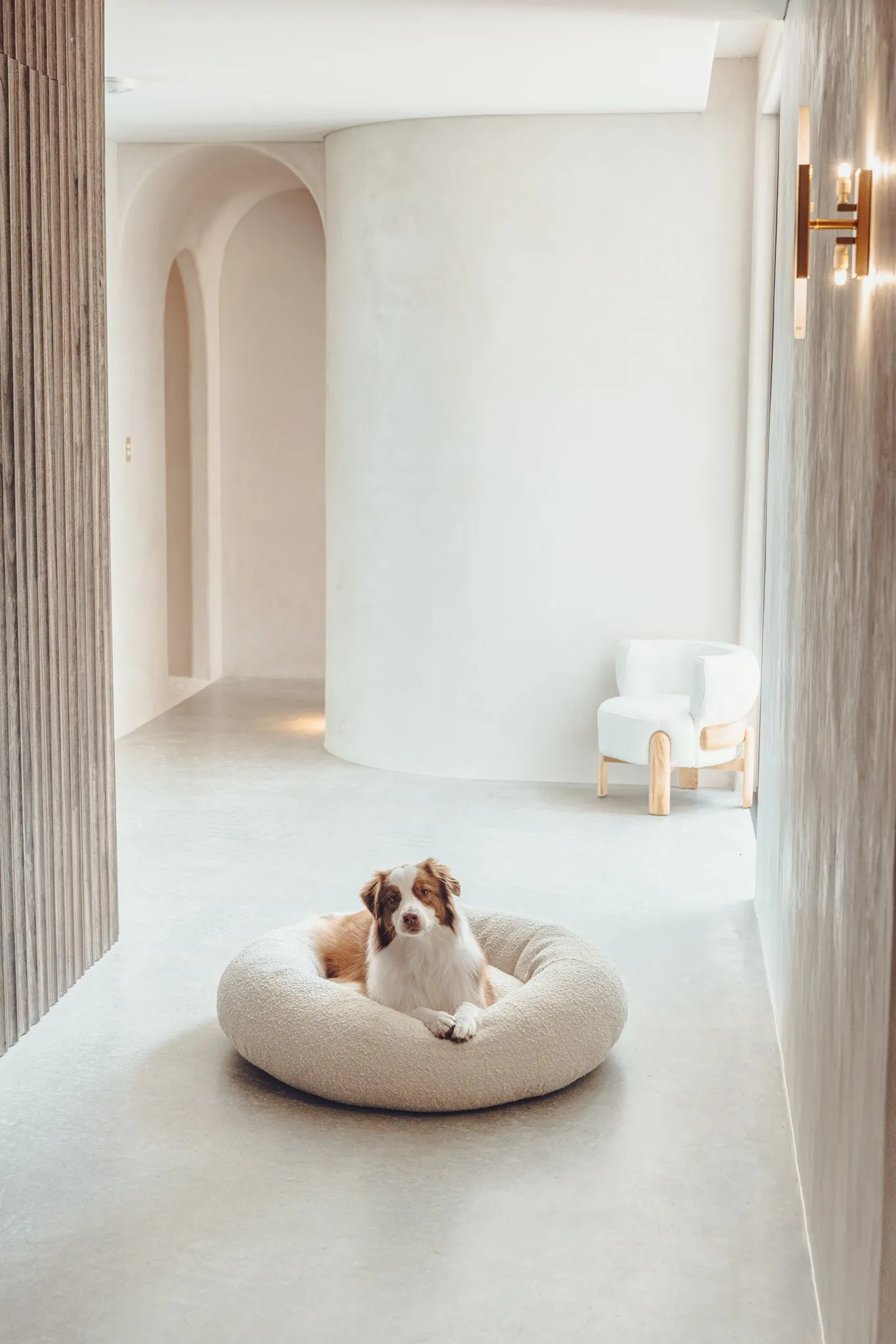 Luxury Boucle Dog Bed Bundled