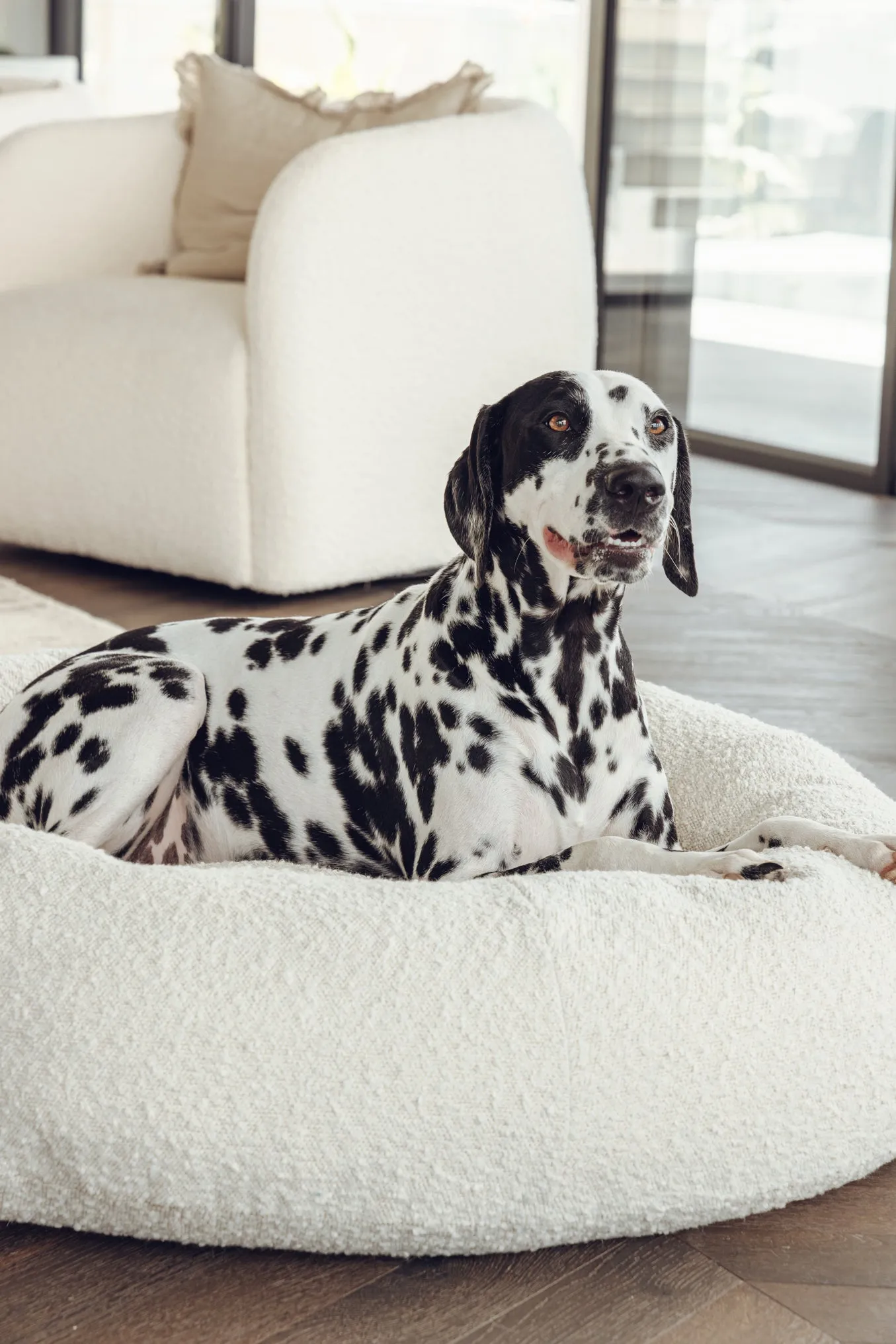 Luxury Boucle Dog Bed Bundled