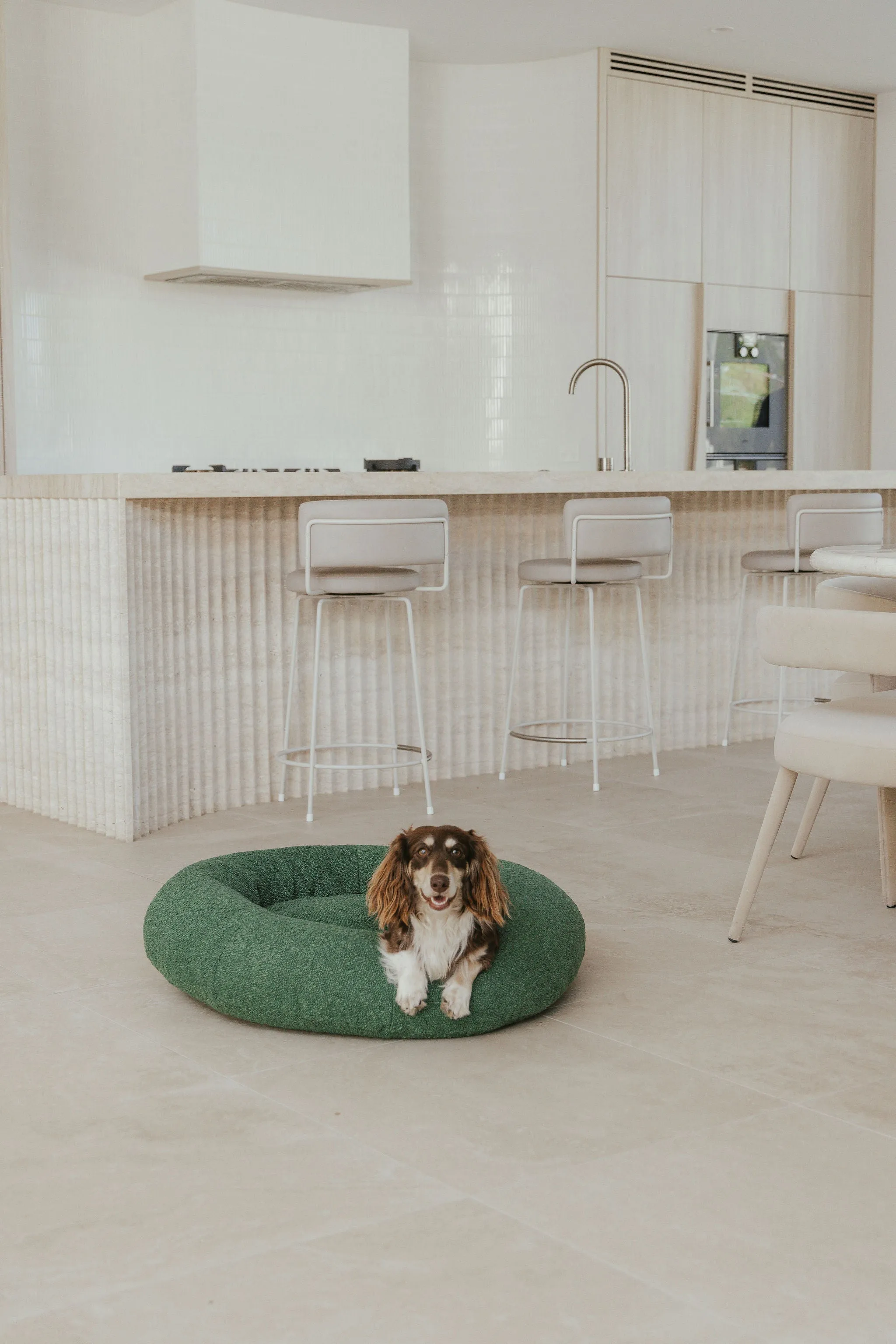 Luxury Boucle Dog Bed Bundled