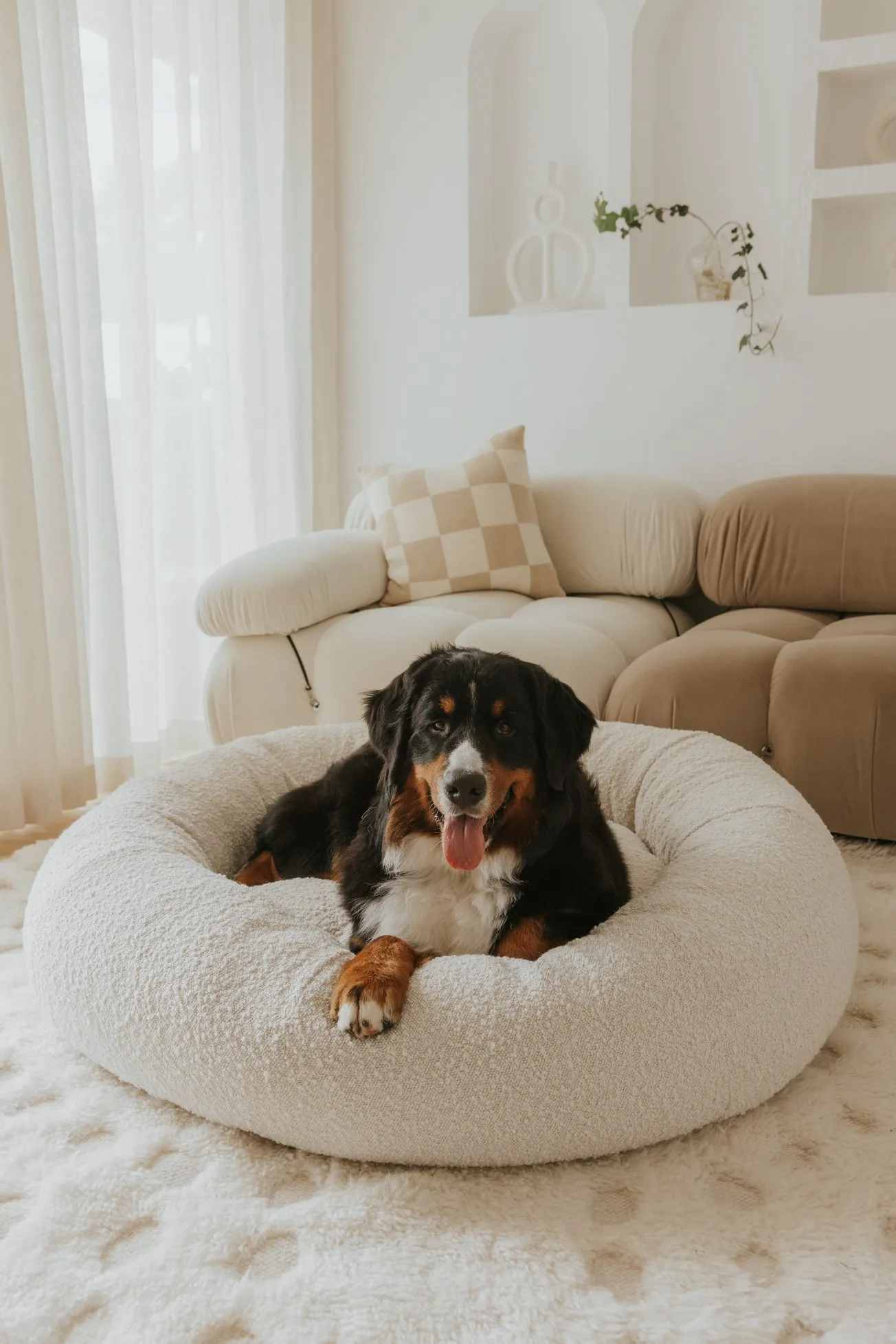 Luxury Boucle Dog Bed Bundled