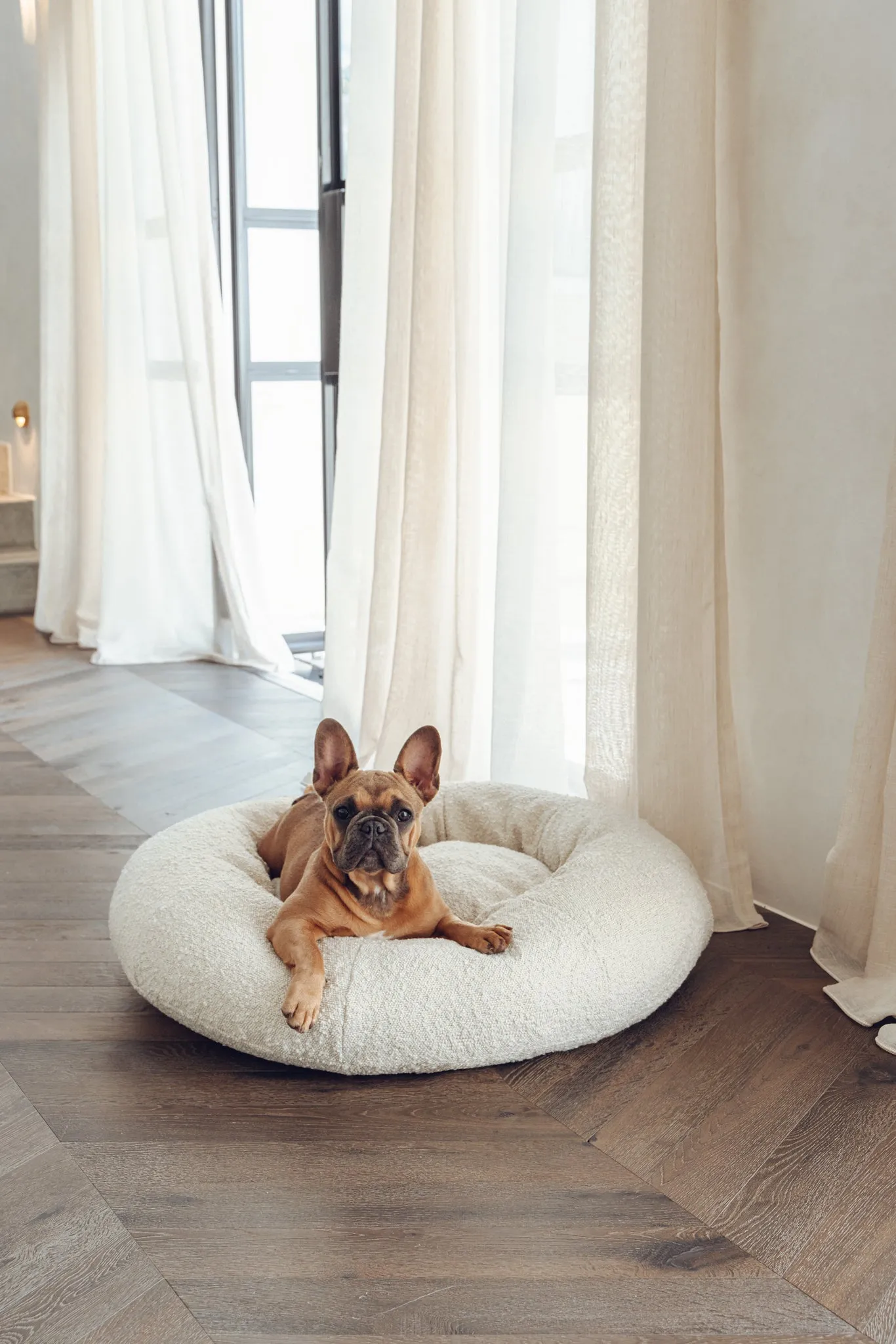 Luxury Boucle Dog Bed Bundled