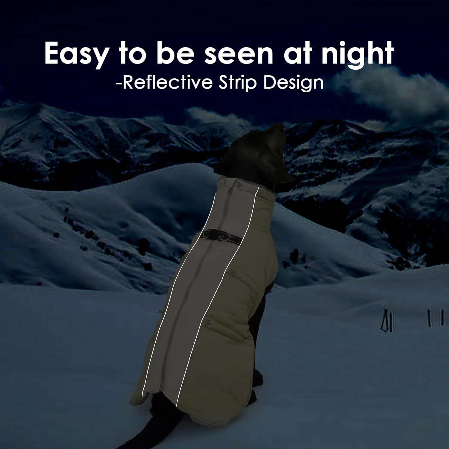 Medium Dog Coat Dog Winter Jacket,Warm Zip Up Snowsuit Dog Harness Vest Reflective Water-Resistant Dog Coat Dog Snow Jacket for Medium Dogs Jack Russell, Mini Schnauzer, Apricot