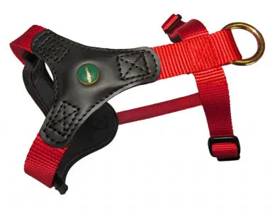 Niggeloh Follow Start Harness