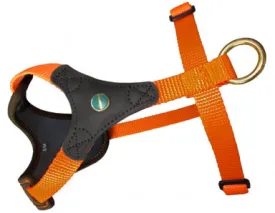 Niggeloh Follow Start Harness